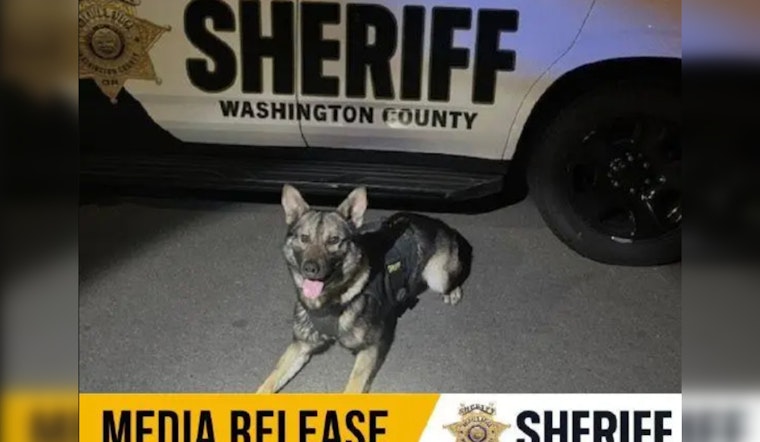 K9 Griff Assists in Apprehending Suspects After Traffic Crash in Tigard