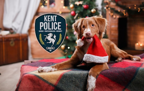 Kent Police Department Shares Vital Tips to Keep Pets Safe During the Holidays