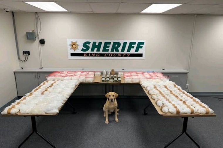 King County Sheriff's Office Thwarts Sinaloa Cartel Network in "Operation Eastbound and Down – The Last Chapter"