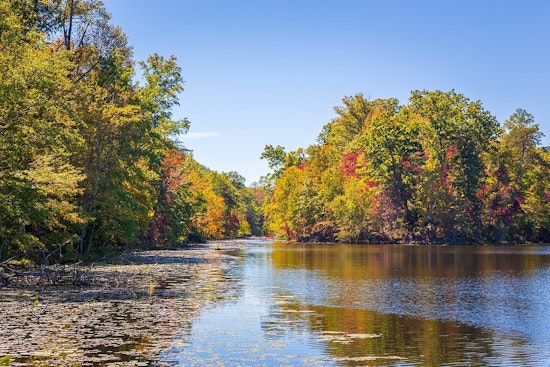 Kingsport's Bays Mountain Park Set for Enhancement with $100,000 State Grant for New Bridge