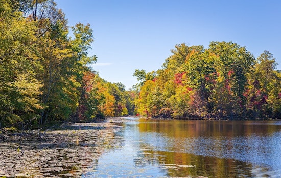 Kingsport's Bays Mountain Park Set for Enhancement with $100,000 State Grant for New Bridge