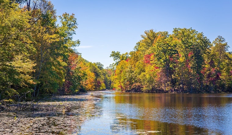 Kingsport's Bays Mountain Park Set for Enhancement with $100,000 State Grant for New Bridge