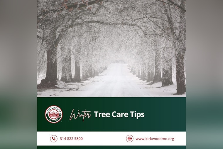 Kirkwood's Urban Forestry Commission Shares Winter Tree Care Tips to Maintain Lush Greenery