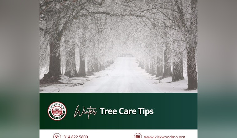 Kirkwood's Urban Forestry Commission Shares Winter Tree Care Tips to Maintain Lush Greenery