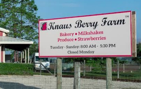 Knaus Berry Farm Welcomes Patrons to New Miami-Dade Location with Beloved Cinnamon Rolls and Shakes