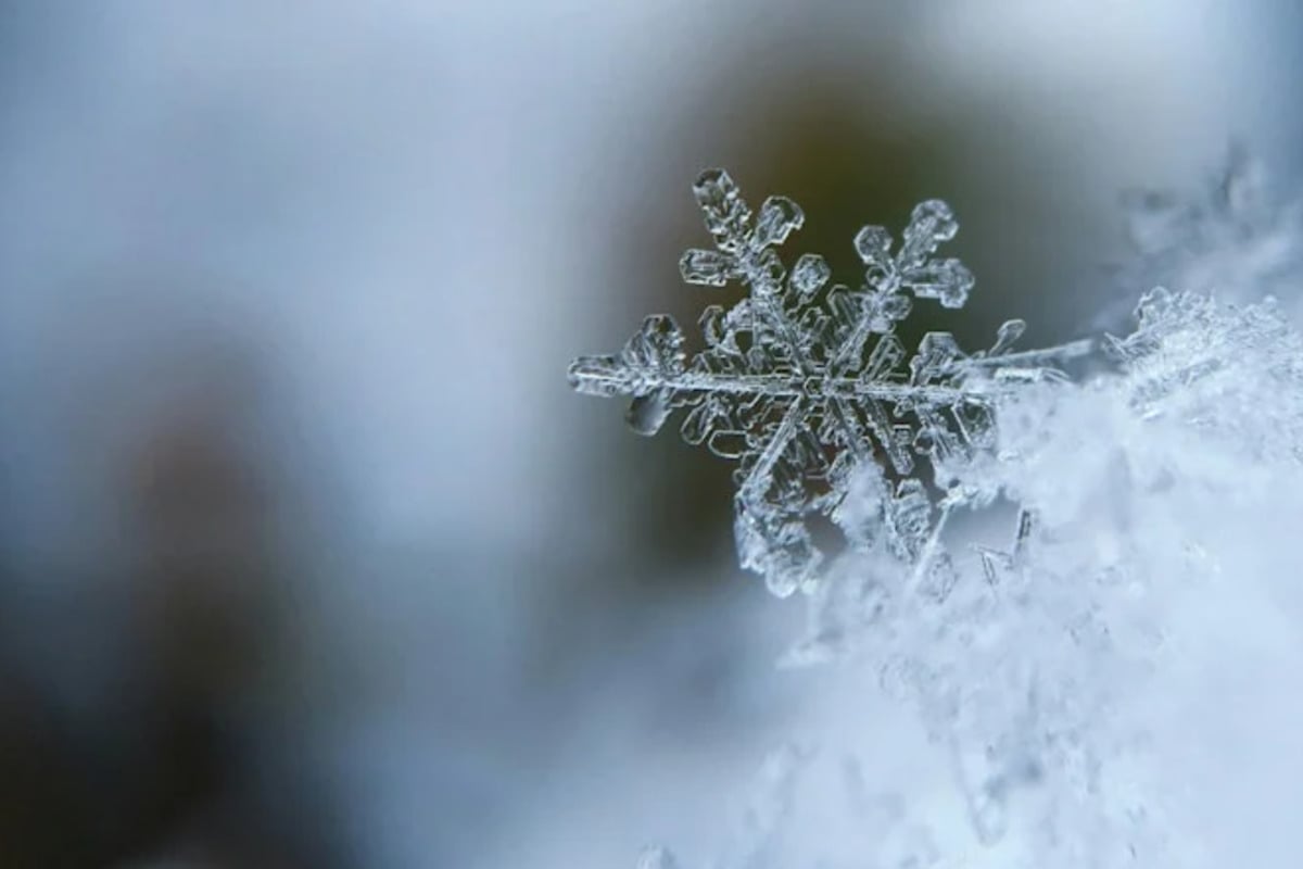 Knoxville and Southwest Virginia Braced for Wind Advisory and Snowfall