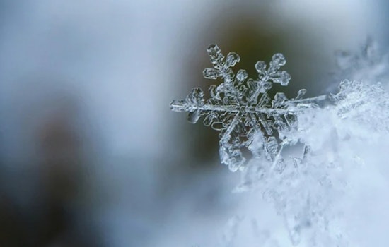 Knoxville and Southwest Virginia Braced for Wind Advisory and Snowfall