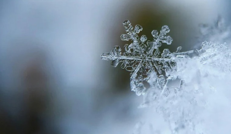 Knoxville and Southwest Virginia Braced for Wind Advisory and Snowfall
