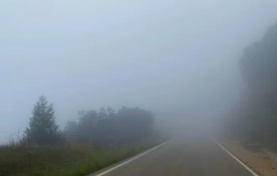 Knoxville Shrouded in Freezing Fog, NWS Issues Travel Advisory Amidst Wintry Weather Forecast