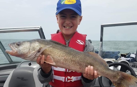 Lake Erie's Walleye and Yellow Perch Populations Surge, Promising Abundant Fishing Seasons Ahead