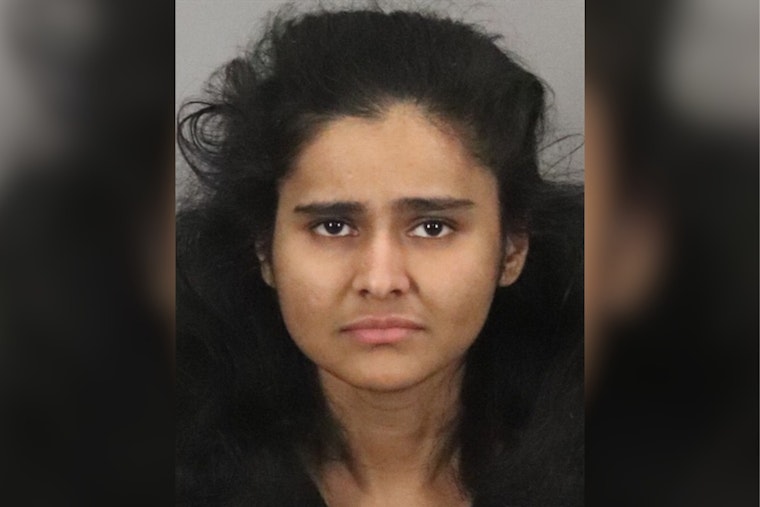 Lakeport Woman Charged in Violent Palo Alto Road Rage Incident Involving Pepper Spray Assault on Family