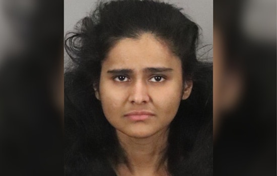 Lakeport Woman Charged in Violent Palo Alto Road Rage Incident Involving Pepper Spray Assault on Family