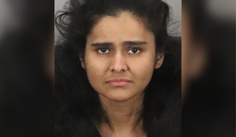 Lakeport Woman Charged in Violent Palo Alto Road Rage Incident Involving Pepper Spray Assault on Family