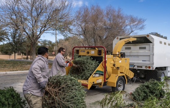 Las Vegas Continues Green Legacy with Over 319,000 Recycled Christmas Trees