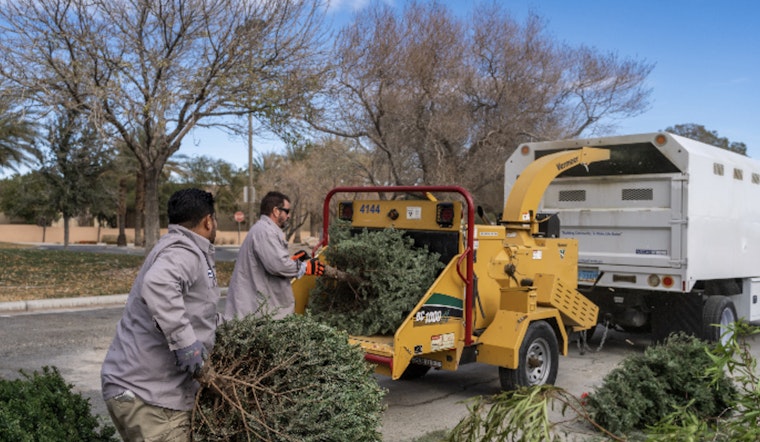 Las Vegas Continues Green Legacy with Over 319,000 Recycled Christmas Trees