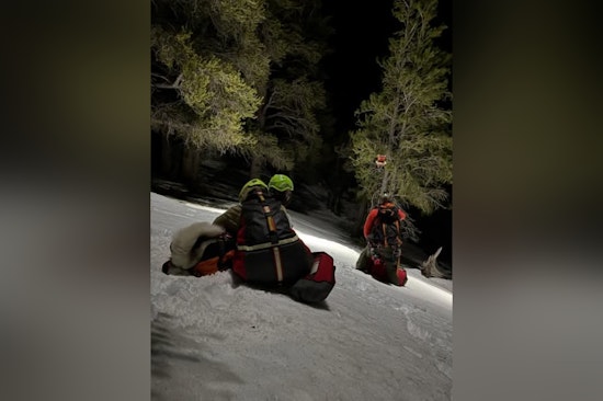 Las Vegas Search and Rescue Team Successful in Nighttime Extraction of Stranded Hikers and Dogs on Mt Charleston