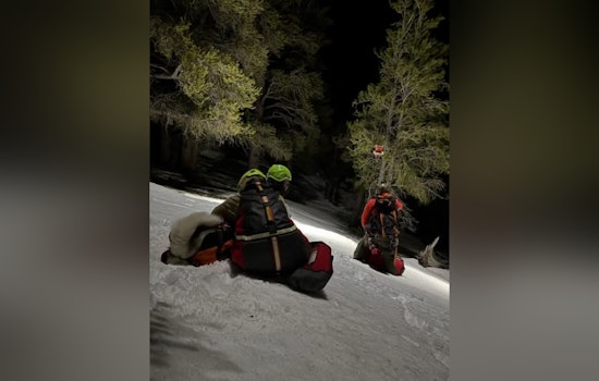 Las Vegas Search and Rescue Team Successful in Nighttime Extraction of Stranded Hikers and Dogs on Mt Charleston