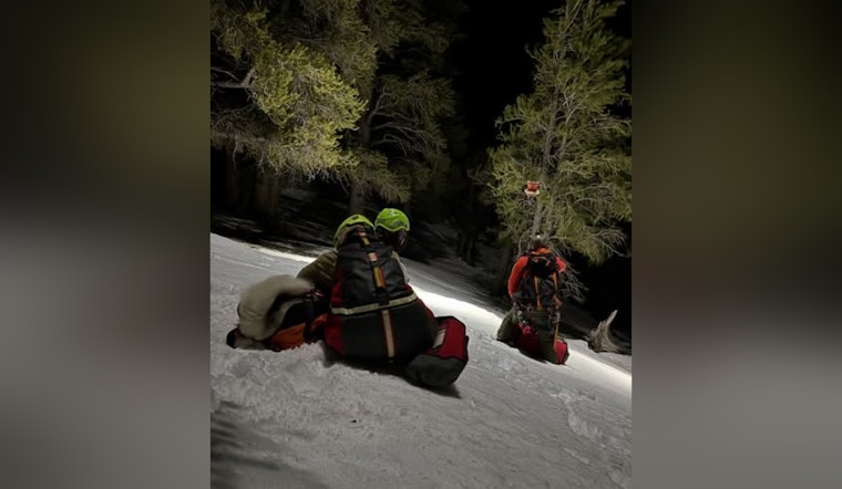 Las Vegas Search and Rescue Team Successful in Nighttime Extraction of Stranded Hikers and Dogs on Mt Charleston