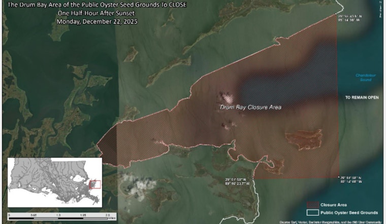 LDWF Announces Closure of Oyster Harvesting in St. Bernard Parish Areas to Protect Population