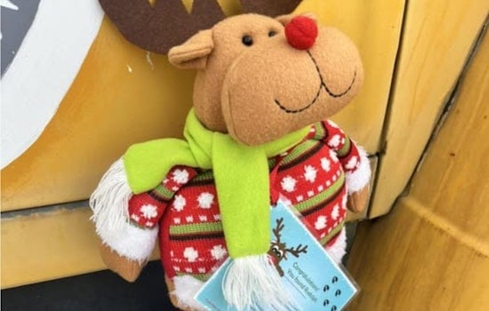 Lehi City Abuzz with Festive Spirit as Citizens Engage in Holiday-Themed Rudy Scavenger Hunt