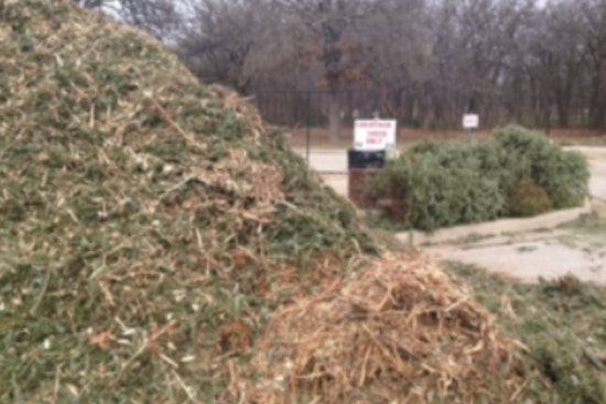 Lewisville Embraces Eco-Friendly Christmas Tree Recycling for Mulch at Lake Park