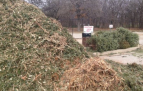 Lewisville Embraces Eco-Friendly Christmas Tree Recycling for Mulch at Lake Park