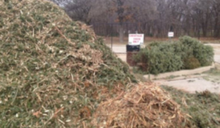 Lewisville Embraces Eco-Friendly Christmas Tree Recycling for Mulch at Lake Park