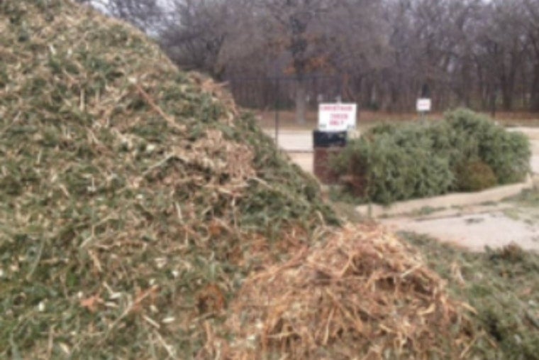 Lewisville Residents Invited to Recycle Christmas Trees for Compost and Free Mulch