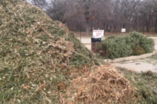 Lewisville Residents Invited to Recycle Christmas Trees for Compost and Free Mulch