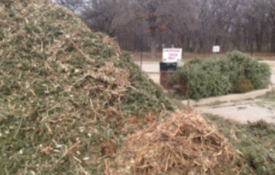 Lewisville Residents Invited to Recycle Christmas Trees for Compost and Free Mulch