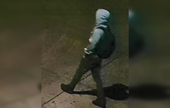 Logan Square Community on Alert After Series of Battery and Attempted Sexual Assault Incidents in Chicago