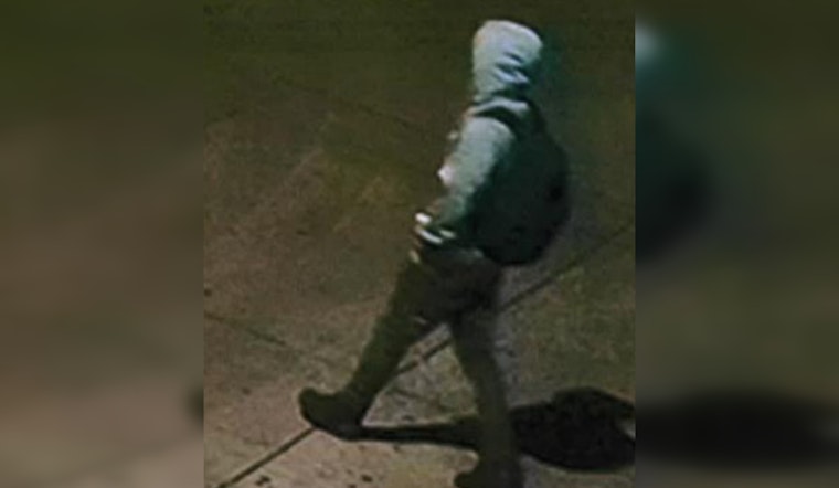 Logan Square Community on Alert After Series of Battery and Attempted Sexual Assault Incidents in Chicago