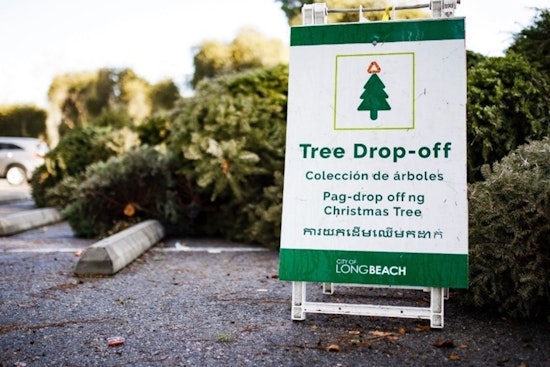 Long Beach Launches Treecycling Program for Post-Holiday Eco-Friendly Tree Disposal