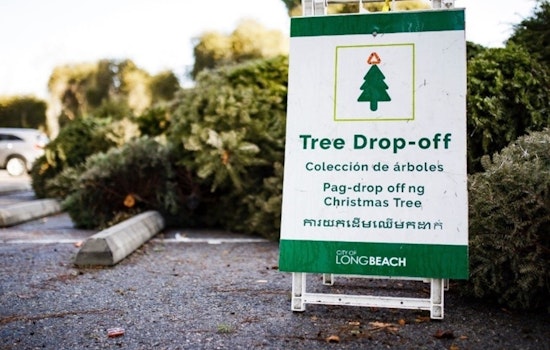 Long Beach Launches Treecycling Program for Post-Holiday Eco-Friendly Tree Disposal