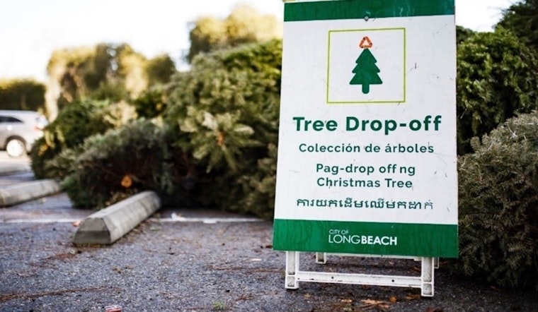 Long Beach Launches Treecycling Program for Post-Holiday Eco-Friendly Tree Disposal