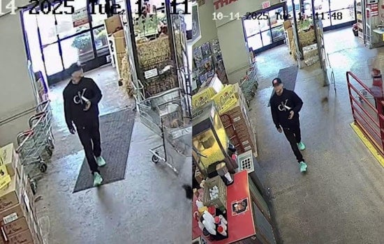 Lorain County Sheriff Seeks Public's Help to Identify Suspect in Rural King Theft in Elyria