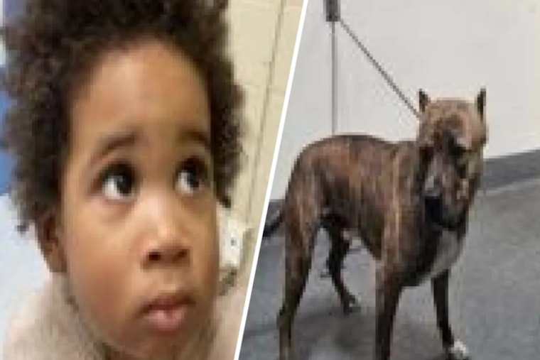 Los Angeles Mother Arrested on Kidnapping Charge After Toddler Found in Abandoned Car Post-Attempted Theft in Highland Park