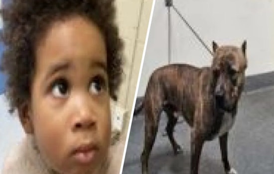 Los Angeles Mother Arrested on Kidnapping Charge After Toddler Found in Abandoned Car Post-Attempted Theft in Highland Park