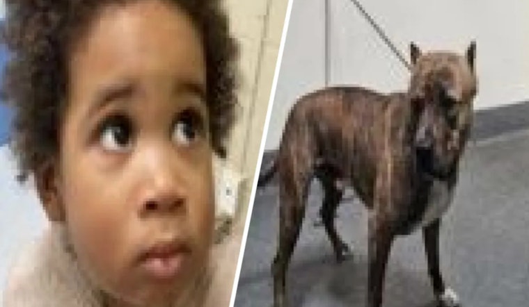 Los Angeles Mother Arrested on Kidnapping Charge After Toddler Found in Abandoned Car Post-Attempted Theft in Highland Park