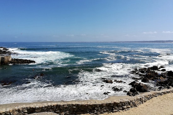 Lovers Point Panic As Swimmer Vanishes After ‘Large Splash’ Off Pacific Grove