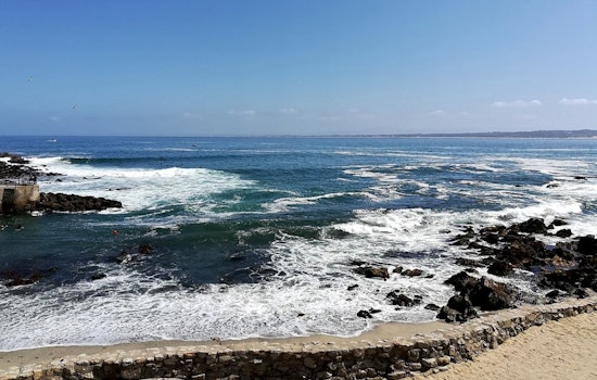 Lovers Point Panic As Swimmer Vanishes After ‘Large Splash’ Off Pacific Grove