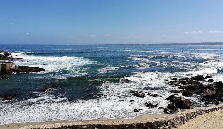 Lovers Point Panic As Swimmer Vanishes After ‘Large Splash’ Off Pacific Grove