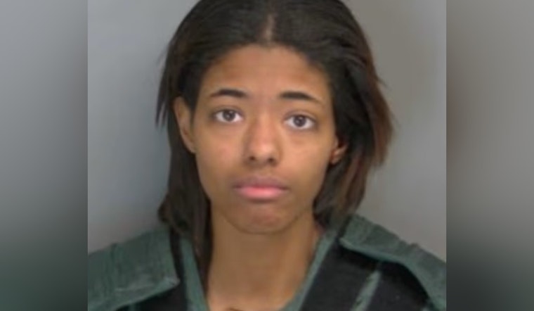 Macomb County Woman Charged with Stabbing Ex-Boyfriend, Causing Multi-Vehicle Crash in Sterling Heights