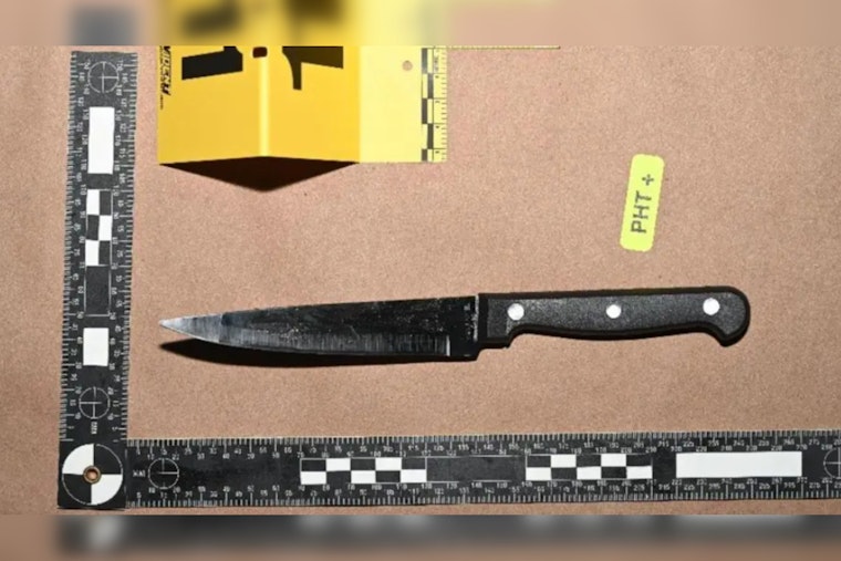 Man Charged with Assault on Bellevue Police Officer After Alleged Ambush at Transit Center