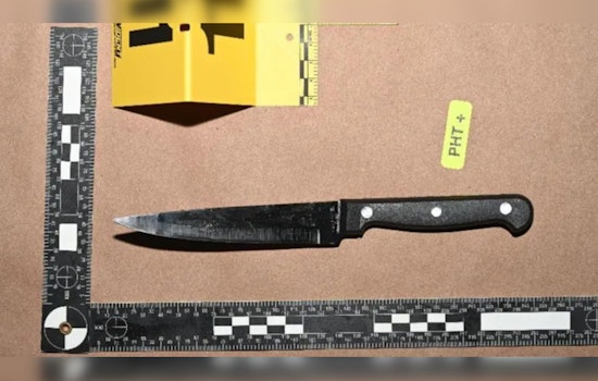 Man Charged with Assault on Bellevue Police Officer After Alleged Ambush at Transit Center
