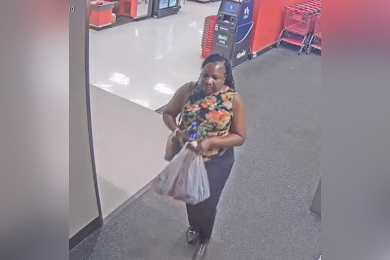 Manatee County Sheriff's Office Seeks Public's Help in Target Theft Case at Bayshore Gardens