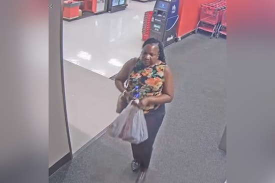 Manatee County Sheriff's Office Seeks Public's Help in Target Theft Case at Bayshore Gardens