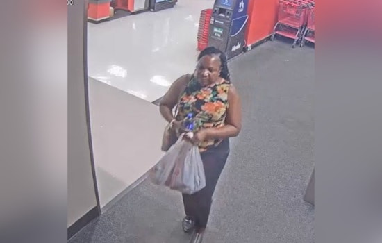 Manatee County Sheriff's Office Seeks Public's Help in Target Theft Case at Bayshore Gardens