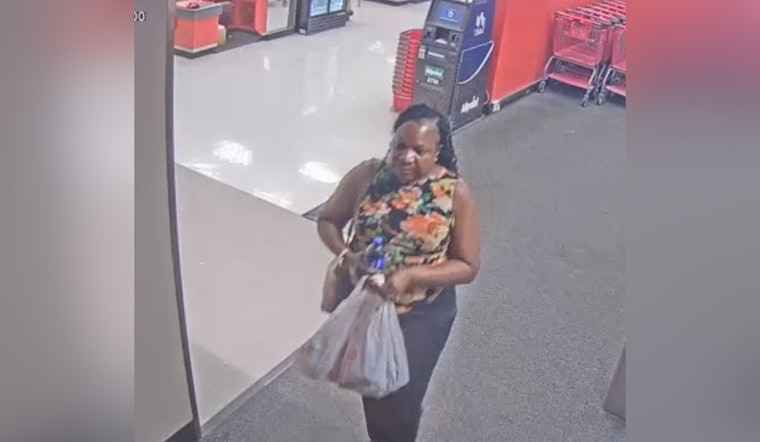 Manatee County Sheriff's Office Seeks Public's Help in Target Theft Case at Bayshore Gardens