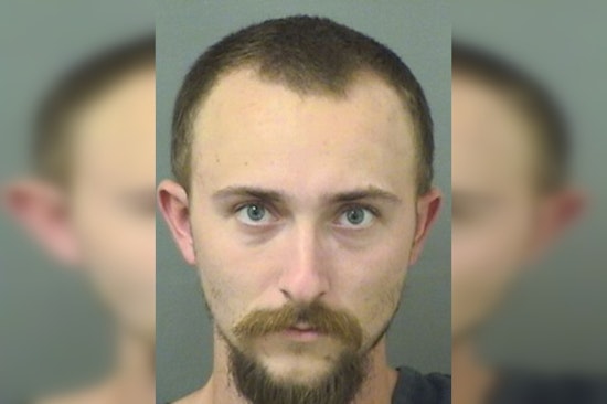 Maniac Munches on Hog Corpse in Palm Beach Shocker! Instagram Fiend's Bloody Public Stunt Ends in Arrest